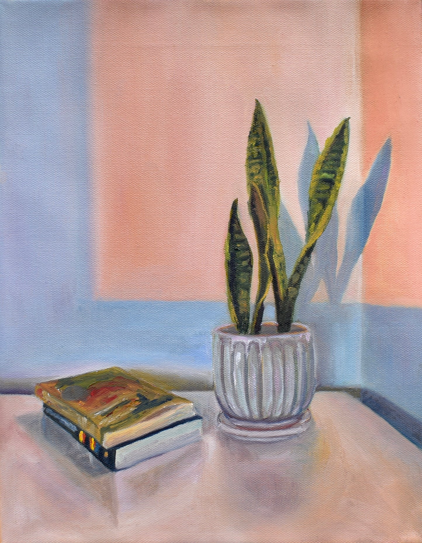 Snake Plant at Sunset Print