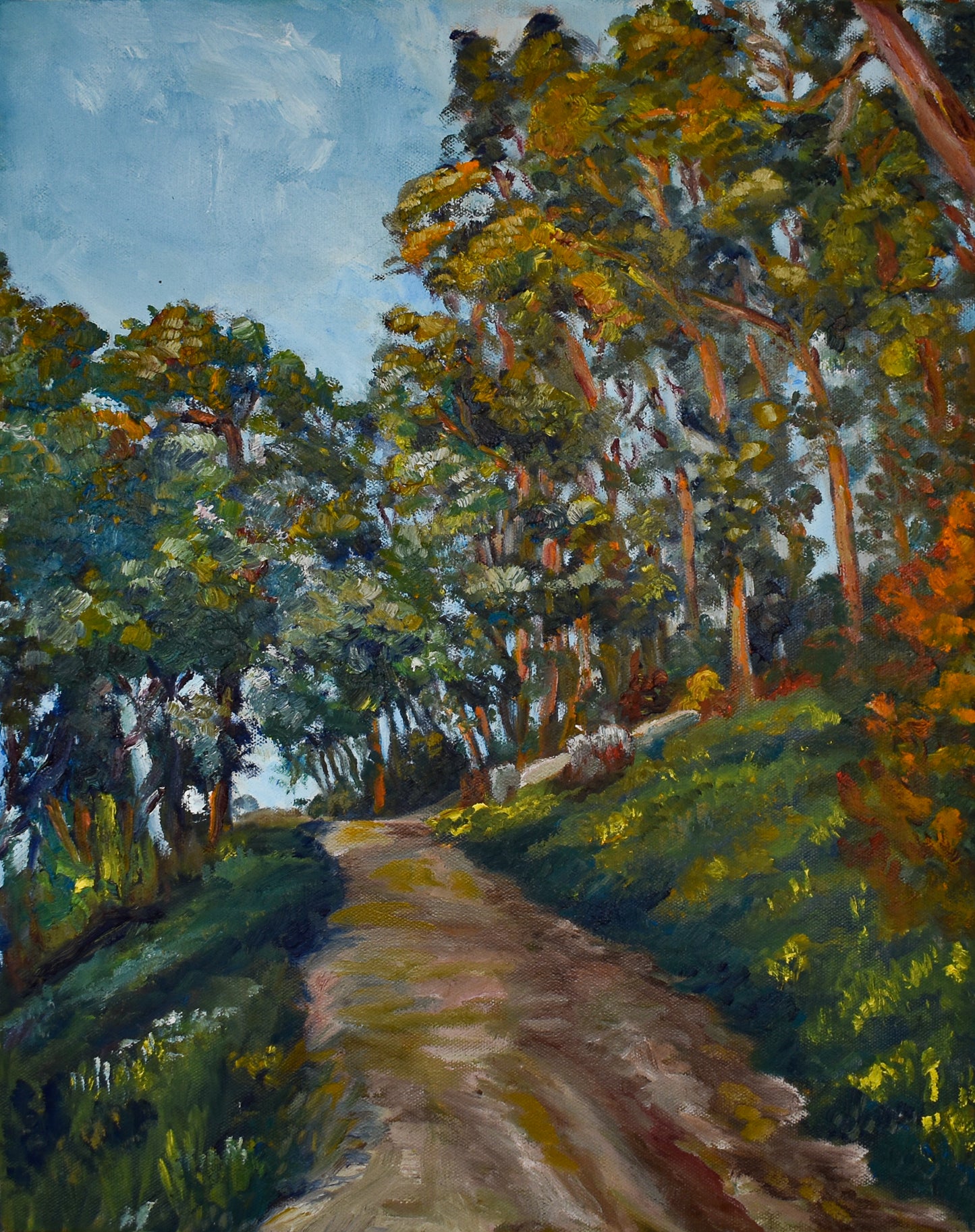 Firetrails of Berkeley Print