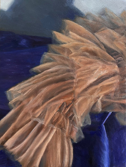 Tutu — a ballet tutu close up, layers of tan tulle against deep navy