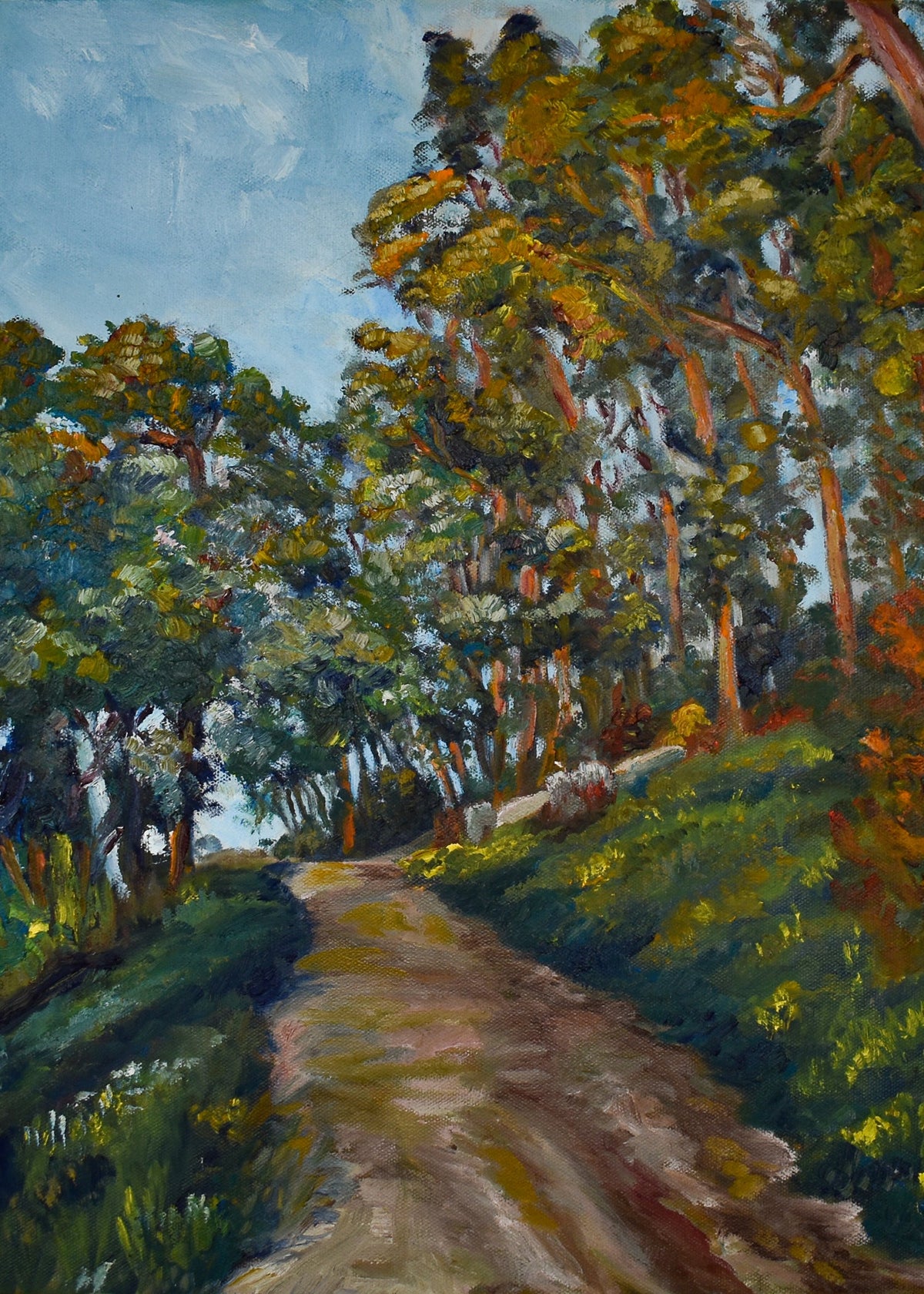 Firetrails of Berkeley, a 5x7 mini art print by Clio Smith